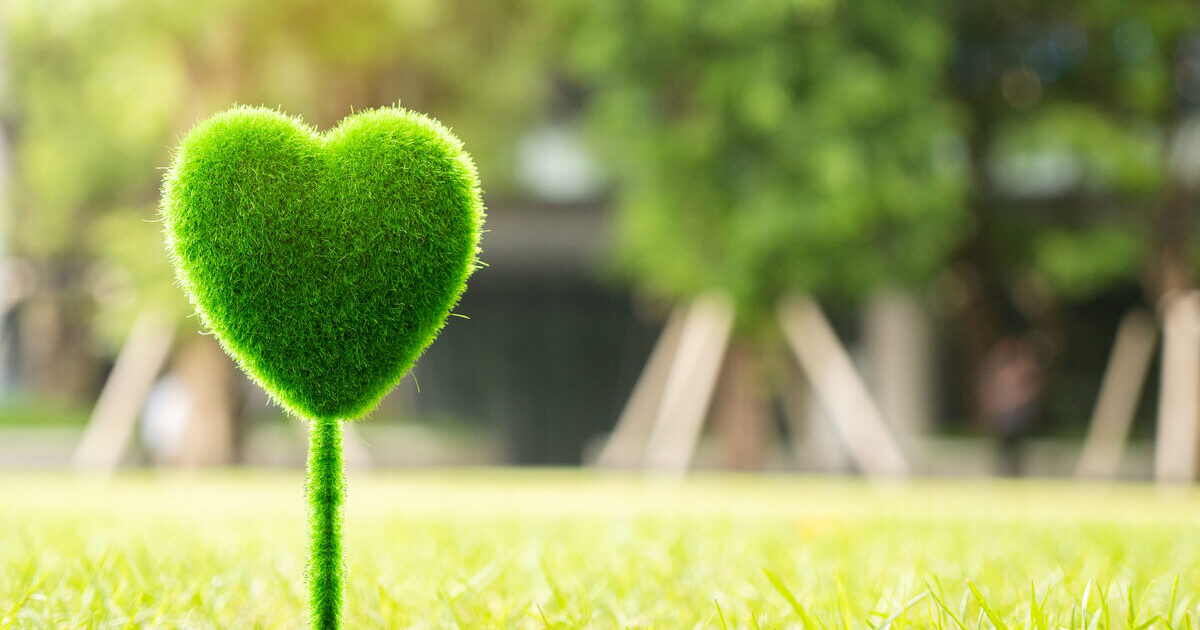 Is Propane Safe for the Environment? Enderby Gas